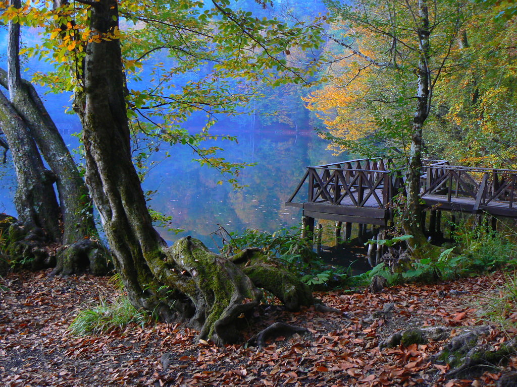 Bolu